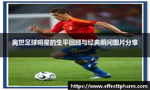 优游国际UB8平台